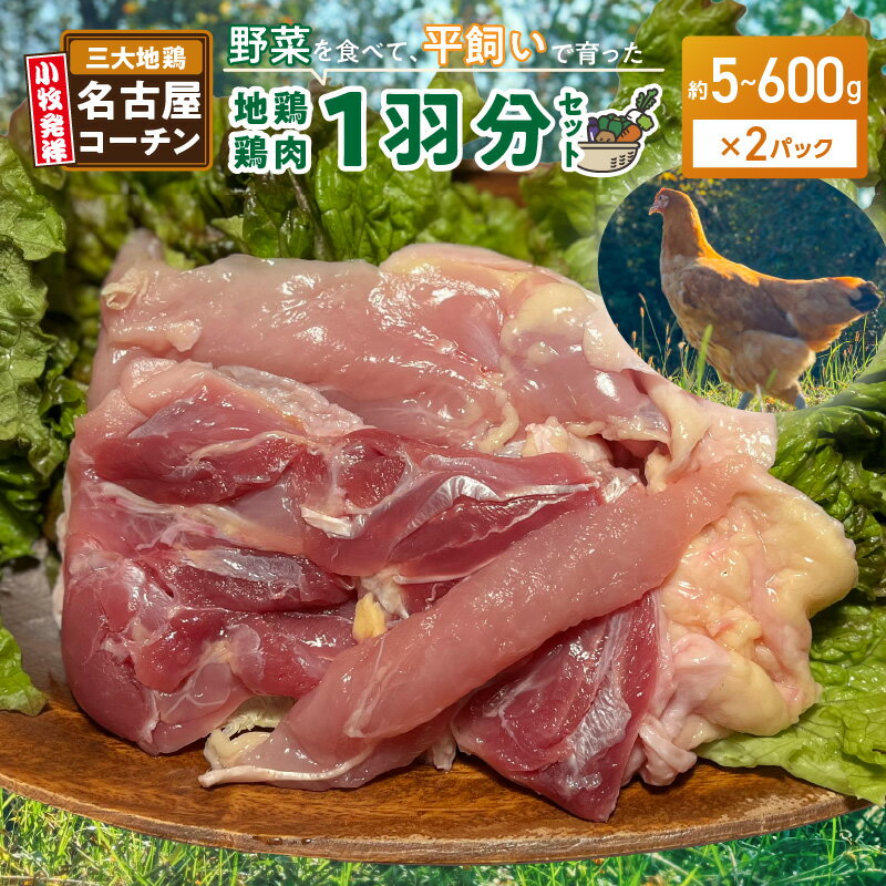 【ふるさと納税】名古屋コーチン 1羽分 セット 約 500g ～ 600g 2パック 肉 鳥 鶏 地鶏 鶏肉 日本三大地鶏 国産鶏肉 むね肉 もも肉 ササミ 生肉 焼肉 親子丼 弾力 コク 旨み 冷凍 お取り寄せ お取り寄せグルメ 愛知県 小牧市 送料無料