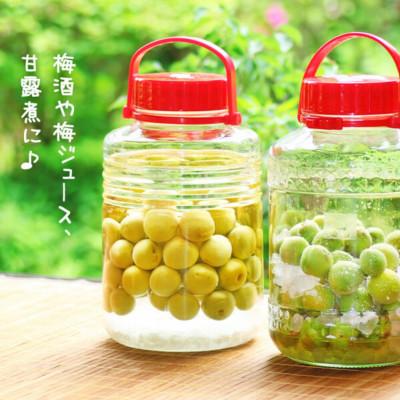 ふるさと納税 有田川町 青梅 南高梅 約5kg 訳あり サイズミックス 和歌山県産 B品 |  | 03