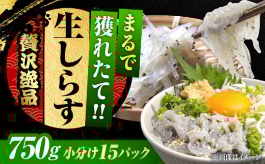 しらす 冷凍 シラス 小分け 干し 生しらすのプリッした食感と塩味が抜群！生しらす50g×15個 冷凍 シラス 鮮魚 ギフト 海鮮丼 広島県産 江田島市/三島水産株式会社 [XCN003]