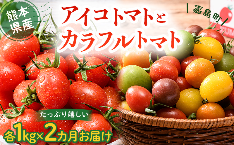 FKK19-874_【2カ月定期】アイコトマト・カラフルトマト 各1kg