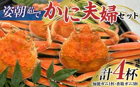 【先行予約】【冷蔵発送】姿朝茹でかに夫婦セット（加能ガニ1杯・香箱ガニ3杯） 2025年11月上旬以降発送 蟹 カニ かに ずわい 石川 加賀 F6P-2484