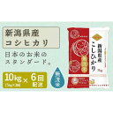 【ふるさと納税】【定期便全6回】無洗米新潟県産コシヒカリ10kg | お米 こめ 白米 食品 人気 おすすめ 送料無料