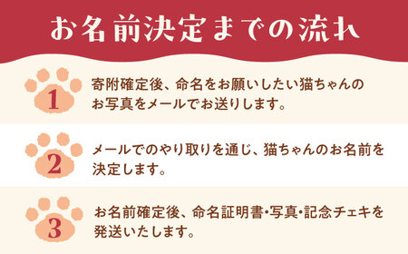 命名権（保護猫への名付け） 猫 ねこ ネコ 保護猫 支援 動物愛護 応援 大阪府高槻市／特定非営利活動Cherish[AODU001]