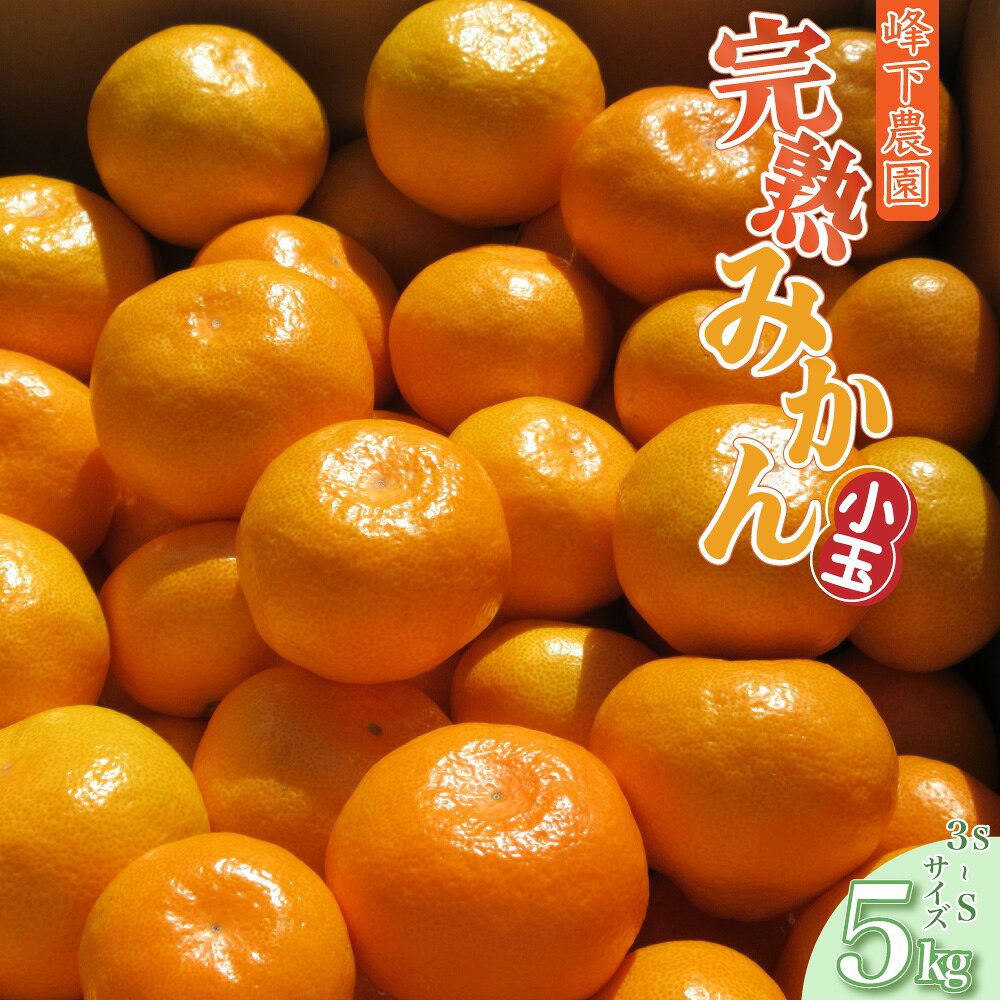 【ふるさと納税】峰下農園の完熟みかん（小玉）5kg フルーツ 果物 くだもの 柑橘 みかん 佐賀県 太良町 L124x1 【2026年11月上旬-12月下旬発送予定】