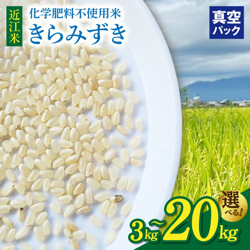 【ふるさと納税】 令和8年 先行予約 新米 近江米 きらみずき 選べる 容量 3kg 5kg 10kg 20kg 真空パック こだわり みずみずしい ツヤツヤ 大粒 ふっくら 食感 美味しい 国産 米 お米 守里ファーム お取り寄せ 滋賀県 守山市 送料無料