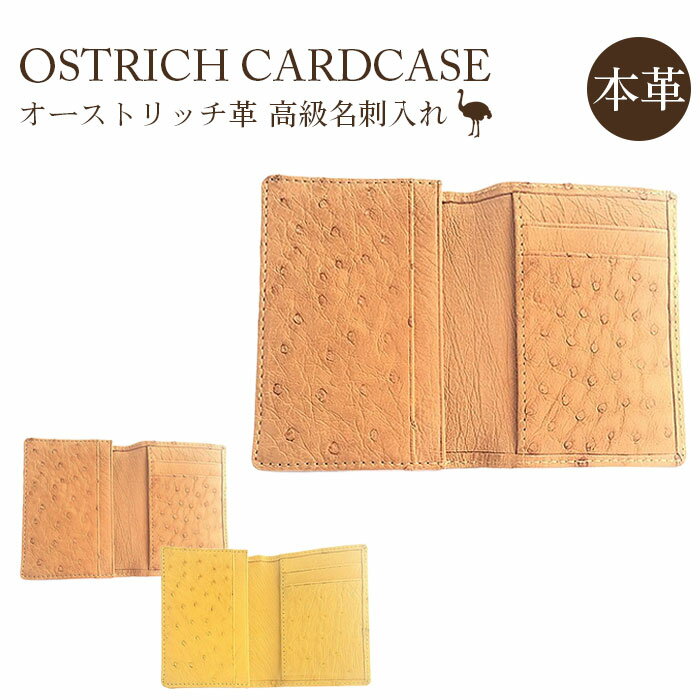【ふるさと納税】 オーストリッチ革高級名刺入れ【高級素材の代名詞！】 ／ クイルマーク 柔軟性 艶 送料無料 埼玉県 No.163
