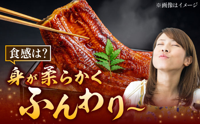 うなぎ 蒲焼き うなぎ 蒲焼 うなぎ かば焼き ウナギ 鰻 うなぎ 蒲焼き 