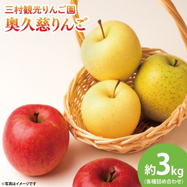 【先行予約・数量限定】三村観光りんご園の奥久慈りんご（各種詰め合わせ）約3kg【10月中旬頃順次発送予定】｜茨城県 大子町 林檎 旬 果物 フルーツ 果実 果汁 ギフト 贈答（BX001-1）