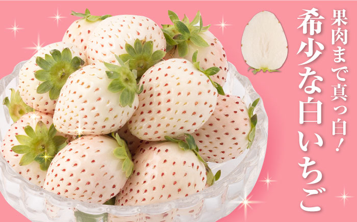 【産地直送】希少 白いちご「パールホワイト」220g×4パック [IZZ020]