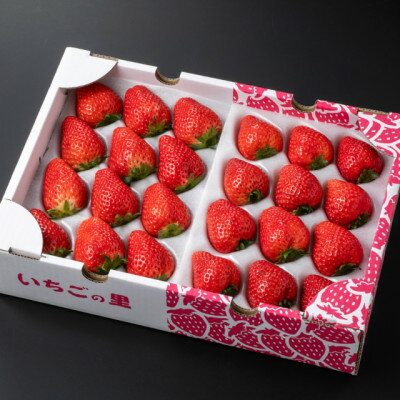 【ふるさと納税】いちご食べ比べセット(スカイベリー&とちあいか 24～30粒入り)【配送不可地域：離島・北海道・沖縄県・中国・四国・九州】【1711549】