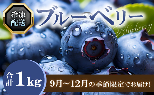 冷凍ブルーベリー【ブルーベリー ぶるーべりー 1kg 冷凍 冷凍ブルーベリー 果物 くだもの フルーツ 産地直送 期間限定 季節限定 早期予約】
