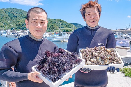 (1616) 瓶詰めウニ 天然 ムラサキウニ 最高級 6本セット 60g×6本 合計360g 長門市
