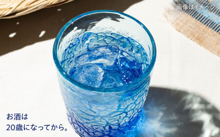 【全6回定期便】琉球泡盛 琉球パック 30度 1800ml×2 セット 泡盛 焼酎 地酒 お酒 ギフト 沖縄市 / 新里酒造株式会社[BCAS028]