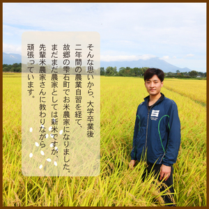 令和7年度産 ひとめぼれ 玄米10kg ／ 岩手県産 国産 雫石町 産 農家 直送 産地 直送 米 こめ コメ ごはん ライス らいす ご飯 穂々ファーム