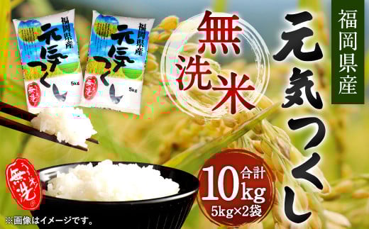 【令和6年産】福岡県産元気つくし 無洗米 10kg お米 ご飯 米