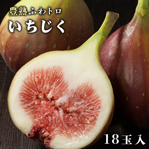 【ふるさと納税】豊熟ふわトロいちじく 18玉入り 有限会社柑香園《9月上旬-11月中旬頃出荷》和歌山県 紀の川市 フルーツ 果物 いちじく イチジク
