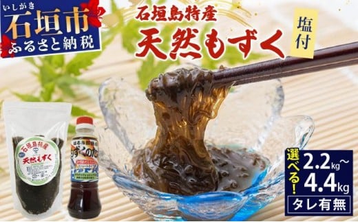 
            石垣島特産 塩付天然もずく 4.4kg or 2.2kgともずくのタレ1本セット | もずく 天然 石垣
          