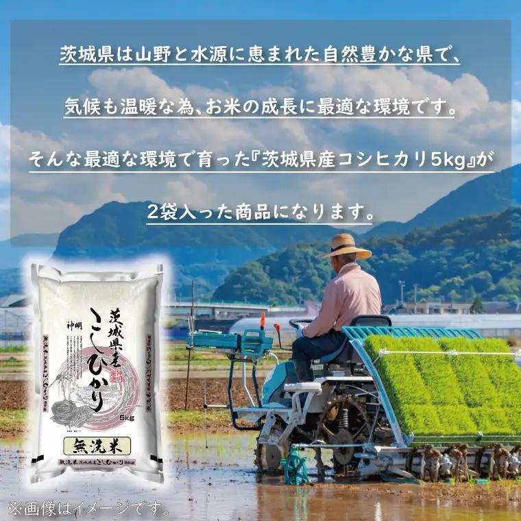 令和7年産 無洗米 茨城 コシヒカリ 10kg (5㎏×２袋)  米 精米 茨城県産_CU002