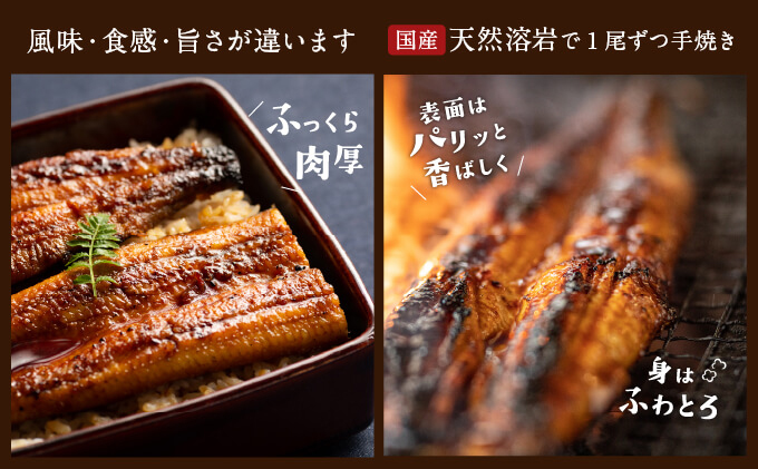 うなぎ 浜名湖 国産 朝じめ うなぎ溶岩焼き 蒲焼き 2尾 （約