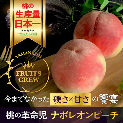 【ふるさと納税】【8月下旬より順次発送】硬さ×甘さの饗宴 希少なナポレオンピーチ今回逃すと1年待ち【配送不可地域：離島・北海道・沖縄県・中国・四国・九州】【1424183】