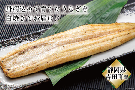 うなぎ 国産 定期便 白焼 150g以上 2尾 6回 総計12尾 タレ 山椒 付き [大井川うなぎ 静岡県 吉田町 22424564]