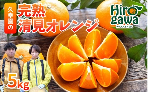 完熟 清見 オレンジ 5kg 久幸園 / 清見オレンジ 清見タンゴール きよみ 清美 甘い 高級 和歌山 柑橘 ※4月上旬～６月上旬に順次発送 【hsk011-r-5C】