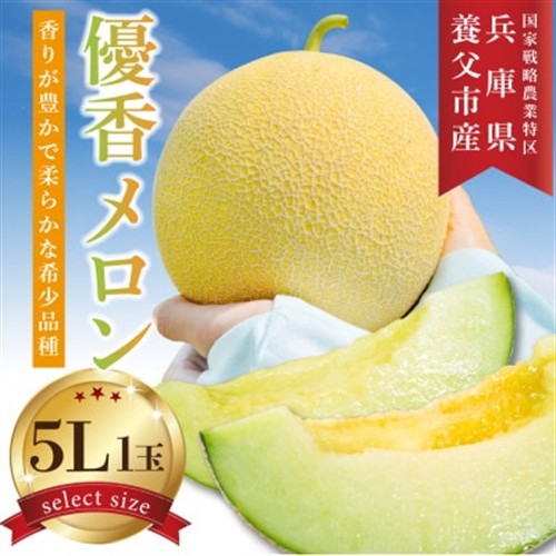 数量限定!こだわり農家さんの希少な優香メロン【5L×1】【配送不可地域：離島・北海道・沖縄・東北】【1735692】