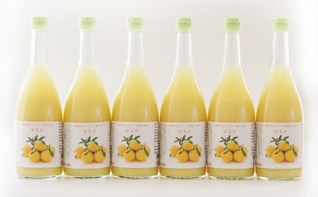 はるか ジュース 720ml 6本 無添加 果汁 100% 柑橘 果物 国産 フルーツ 有名 愛媛 みかん 職人 武田屋 蜜柑 ブランド オレンジ 愛媛県産 果実 ビタミン 美味しい 生産者 直送 産