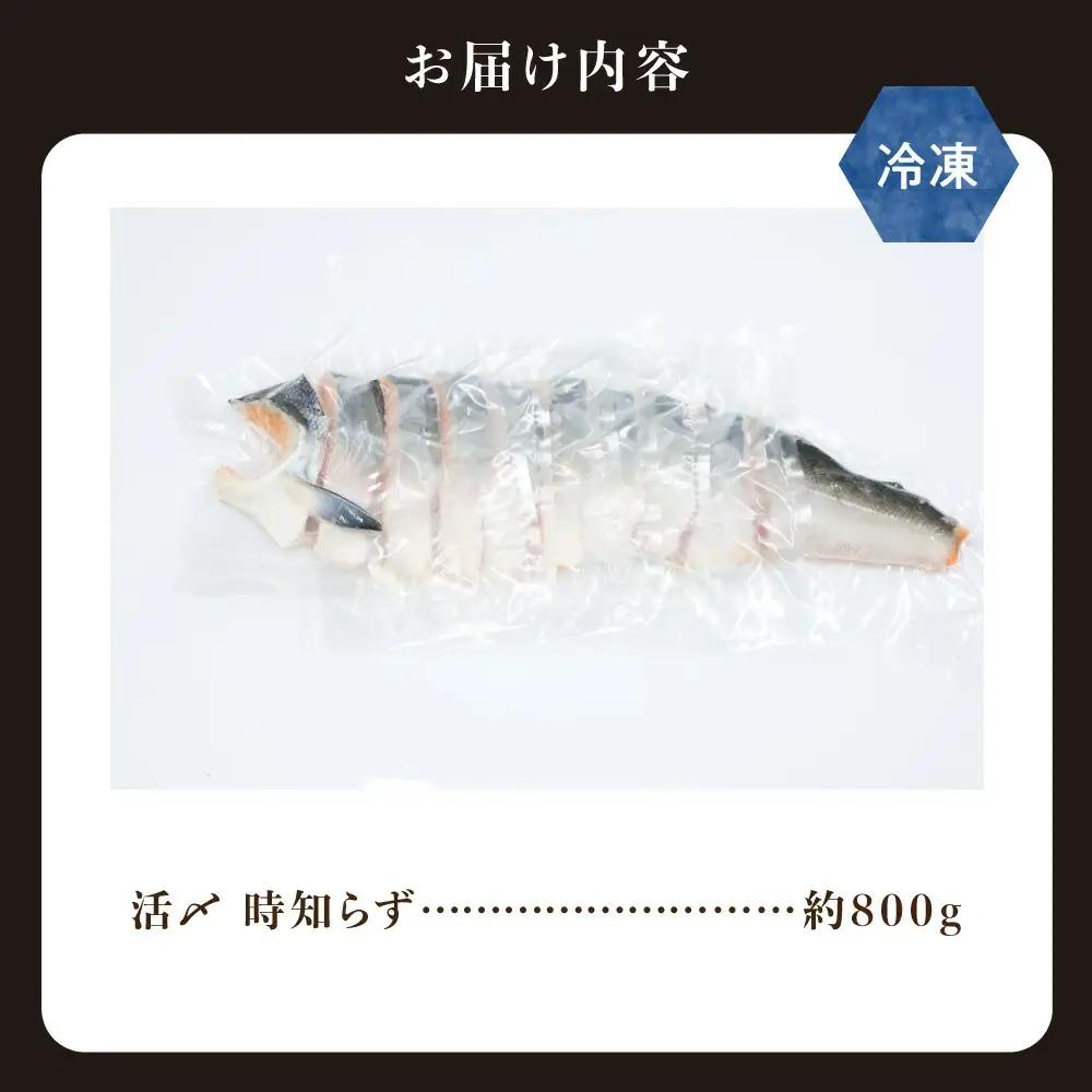 活〆 時知らず 天然 鮭切身 中塩仕込 10切(2切160g×5パック) 800g  知床斜里産