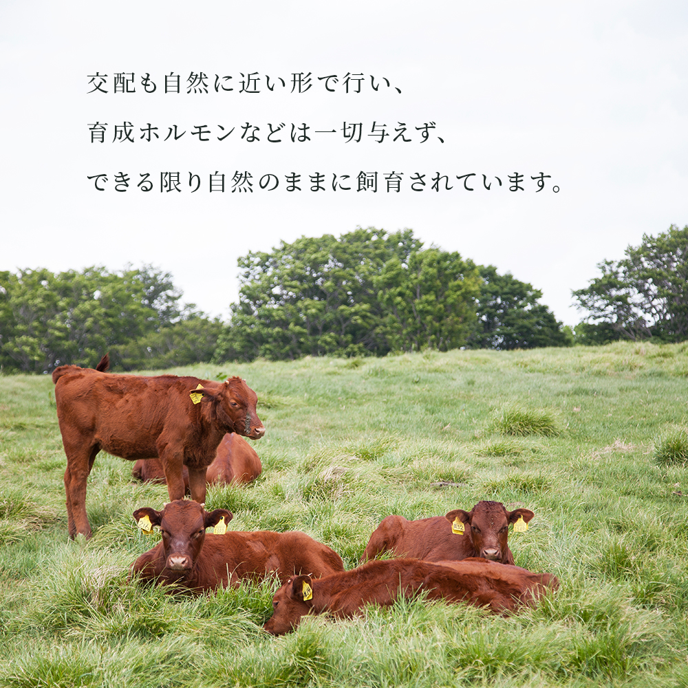 日本短角種かづの牛 切り落とし 630g【秋田県畜産農業協同組合】