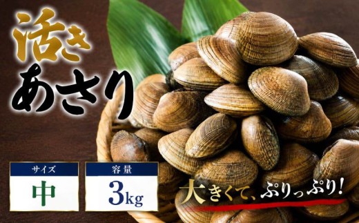 【期間限定】 北海道産 活きあさり (中) 3kg 冷蔵 天然 国産 加熱用 アサリ 大粒 中サイズ あさりご飯 アサリご飯 ご飯 味噌汁 みそ汁 酒蒸し 貝 北海あさり 魚介類 魚貝類 魚介 魚貝 海鮮 新鮮 海の幸 かい パスタ 北海道 標津町