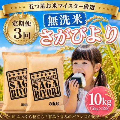 ふるさと納税 大町町 【毎月定期便】【無洗米】さがびより10kg(5kg×2袋)(大町町)全3回