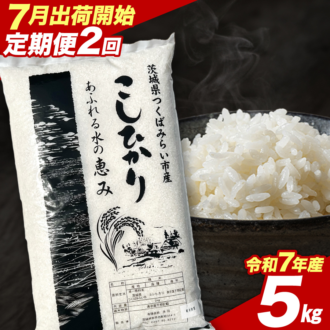 【 定期便（7～8月出荷）】 コシヒカリ 5kg ×2回 令和7年産精米 【 数量限定 】茨城県つくばみらい市産 米 コメ 単一米 茨城県産 国産 発送 コスパ こしひかり