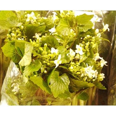 『つやま産直発!ときめきパック』　季節の野菜と加工品のセット【配送不可地域：離島】【1075801】