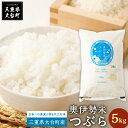 【ふるさと納税】奥伊勢米　つぶら　5kg／宮川TK　食味値75％以上　みえの安心食材　認定米　ブランド米　三重県　大台町