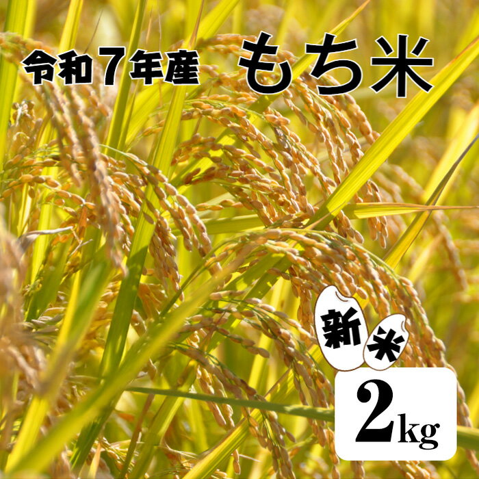 【ふるさと納税】≪数量限定≫ 令和7年産『もち米』 2kg 精米 新米 もち米 2キロ 米 お米 精米 こめ コメ もち モチ もち米 限定 雑煮 正月 粘り こし おこわ 赤飯 餅 おはぎ 6000円 小分け ふるさとのうぜい 故郷納税 高知県 田野町 送料無料 返礼品