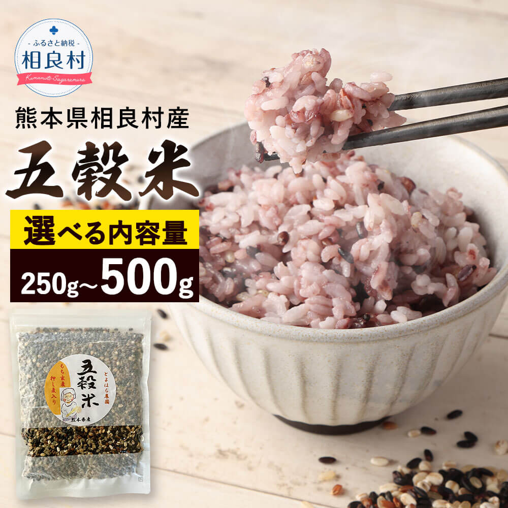 【ふるさと納税】【先行受付】【選べる容量】相良村産 ヘルシー 五穀米 250g 500g 【2025年11月上旬より発送開始】 国産 熊本県産 黒米 もち皮付き押し麦 うるち玄米 もち押し麦 赤米 雑穀米 ブレンド 送料無料