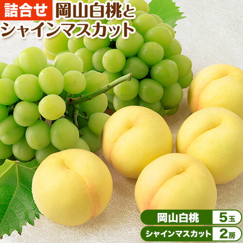 【2026年先行予約】岡山白桃 と シャインマスカット 詰合せ 5玉 約1.5kg 2房 計約1.3kg 環山堂株式会社《2026年7月中旬-8月上旬頃より発送予定》岡山県 浅口市 桃 マスカット ぶどう 詰め合わせ 果物 送料無料【配送不可地域あり】