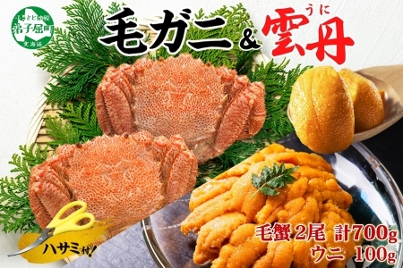 3418. 毛蟹 2尾 計700g前後 うに チリ産 冷凍 100g 専用ハサミ・食べ方ガイド付き 毛ガニ 毛がに 蟹 カニ かに 蟹肉 カニ味噌  ウニ 雲丹 海鮮 ボイル 北海道 弟子屈町