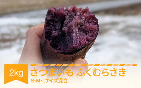 さつまいも ふくむらさき 約2kg 村山市産 2025年産 令和7年 山形県産 no-spfmx2 ※沖縄・離島への配送不可