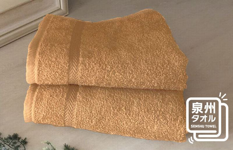 ＪＯＹフェイスタオル 2枚（サマーブラウン) 薄手 泉州タオル【泉州タオル 国産 吸水 普段使い 無地 シンプル 日用品 家族 ファミリー】