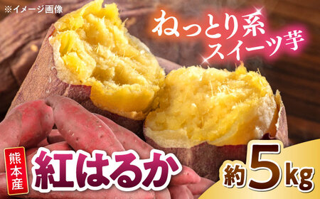 紅はるか 秀品 約5kg S〜2Lサイズ混合 【株式会社 Foody’s】[AYAT004]