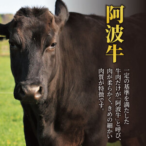 黒毛和牛　阿波牛の匠　のべ牛【特選スライス600g】（阿波牛）