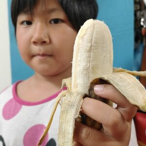 ムッチリ食感！沖縄県産アップルバナナ 2kg バナナ フルーツ 果物 無農薬 banana 沖縄市 / タカエス フルーツ＆ベジタブル[BCBH001]