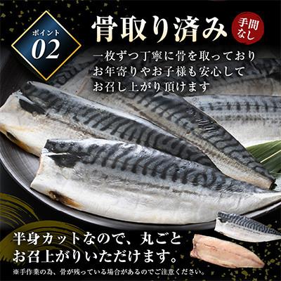 ふるさと納税 越前町 【のし付】鯖の一夜干し 約1kg(半身7切)網元漁師「福丸」厳選干物! |  | 02