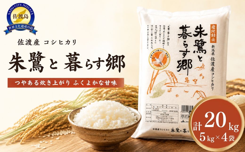 
                  米 朱鷺と暮らす郷 佐渡産 コシヒカリ (20kg)【令和7年産】
                