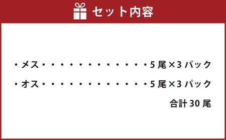 ボイル しゃこ オス・メス 合計30尾 （各15尾）