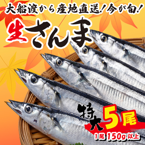 【予約受付】 特大さんま 150g以上 5尾 冷蔵 期間限定 [発送:2025年9月～2025年11月下旬頃まで] 三陸 岩手 大船渡市 サンマ さんま 秋刀魚 季節限定 鮮秋刀魚