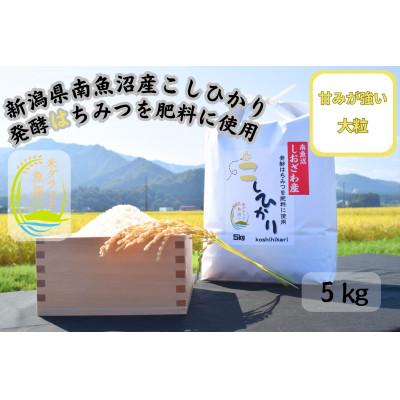 ふるさと納税 南魚沼市 新潟県南魚沼産(塩沢地区)はちみつ米コシヒカリ 5kg※蜂蜜発酵液肥料栽培