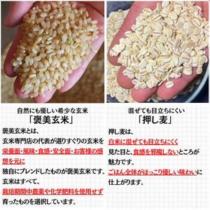 【白米に混ぜて簡単!】国産 押し麦ブレンド3.0kg(300g×10袋入り)【1632805】